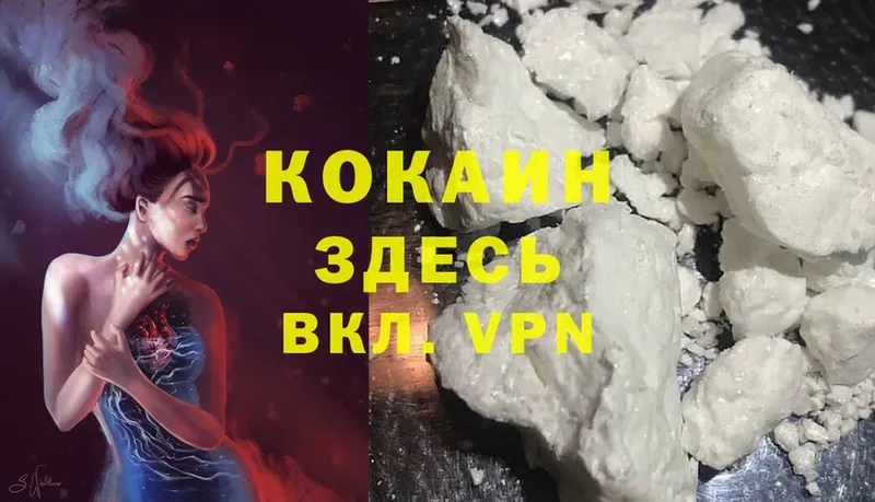 купить наркотики цена  Нахабино  Cocaine Эквадор 